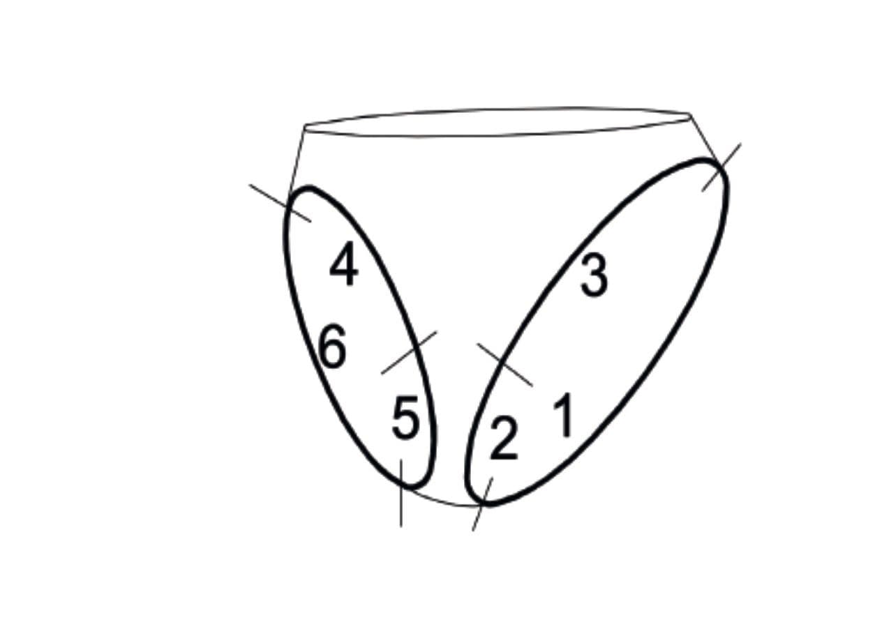 Division into 8 Sectors